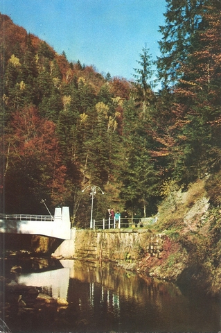 2095 - Slănic-Moldova. Râul Slănic